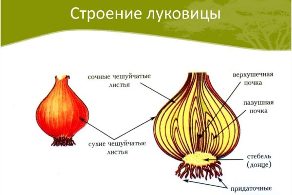 Кракен маркетплейс что там продают