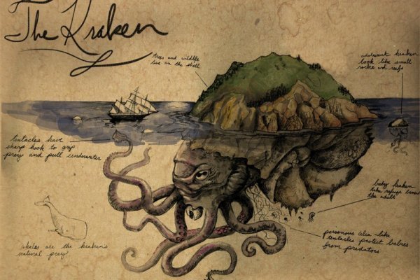 Kraken рабочий